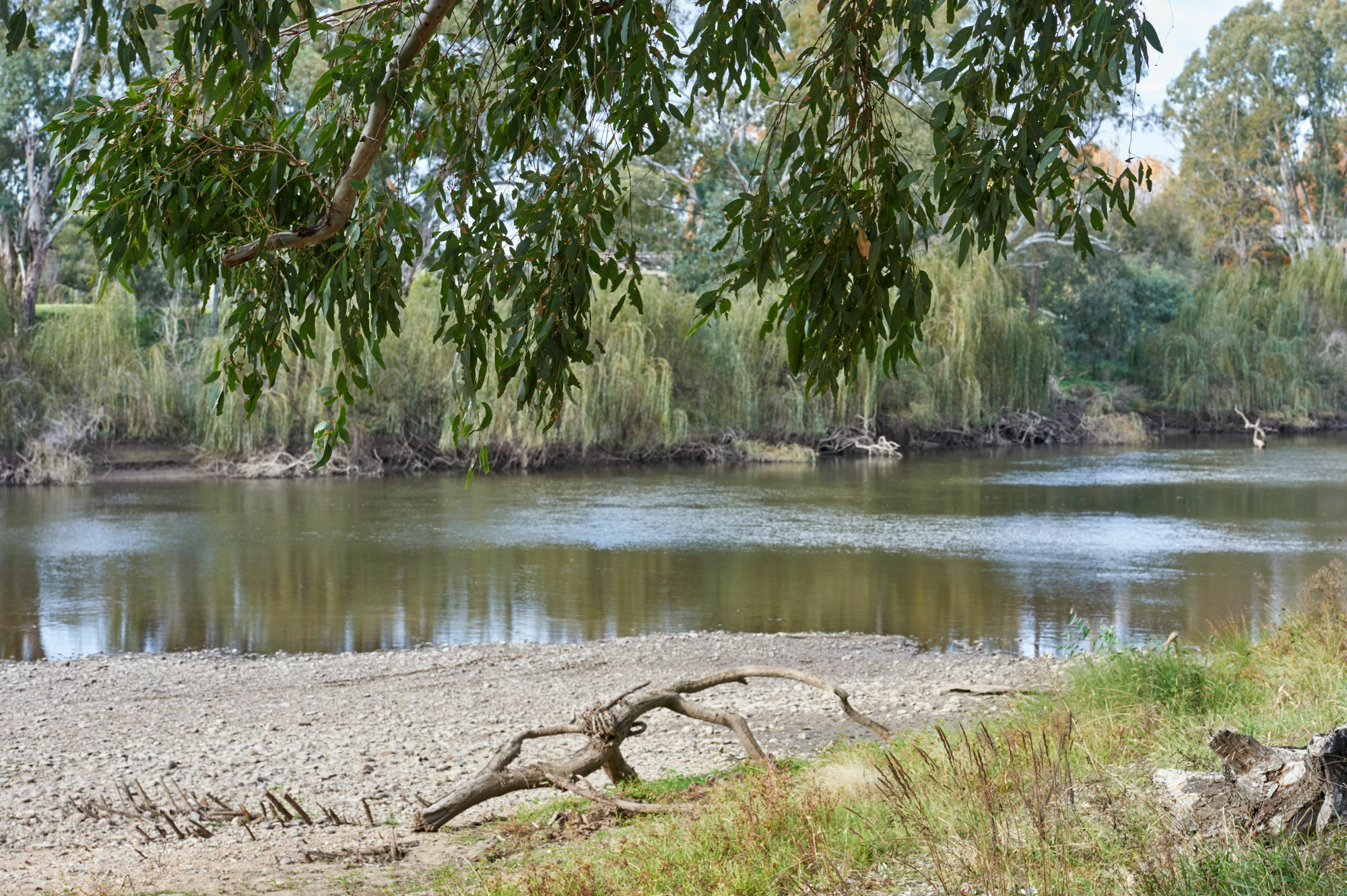Gundagai Cabins & Tourist Park Exterior photo